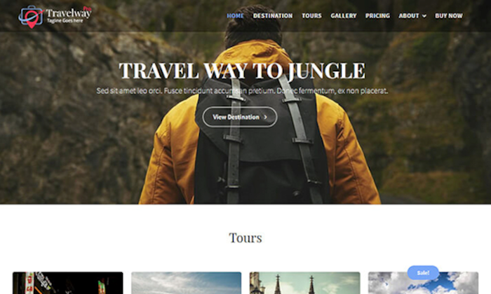 Travel Way demo page for Best WordPress Themes